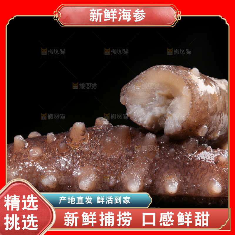 黑底上的辽参
