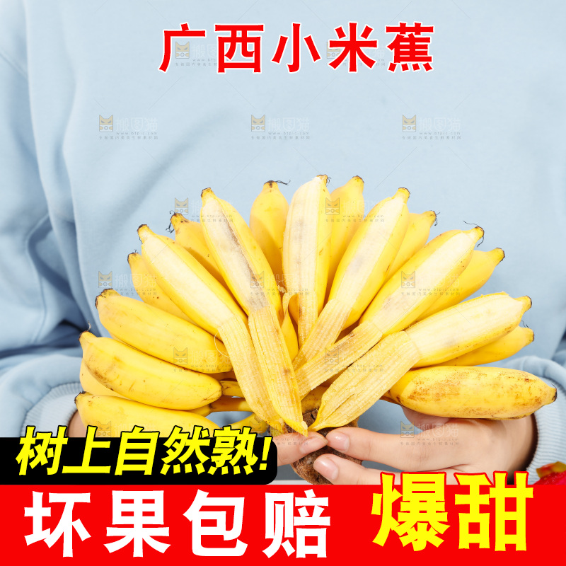 手里拿着一串小米蕉