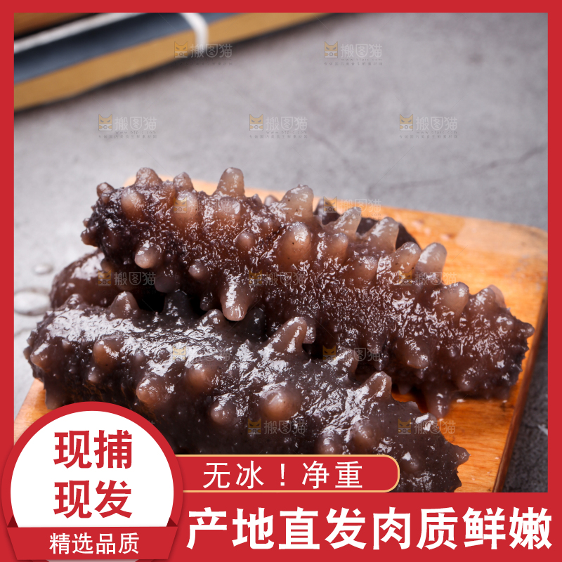 木底上的淡干海参