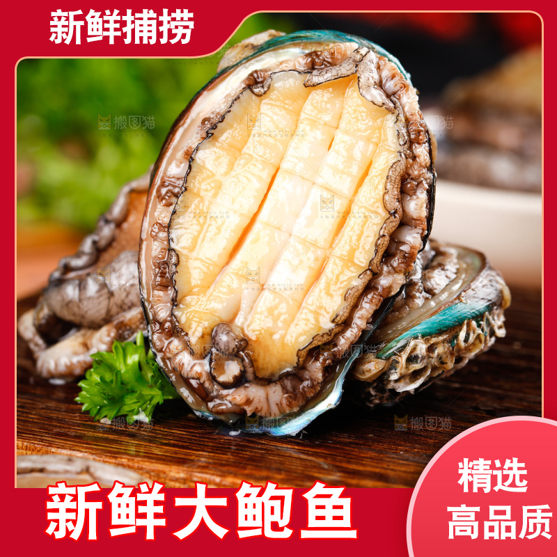 木底上的新鲜大鲍鱼
