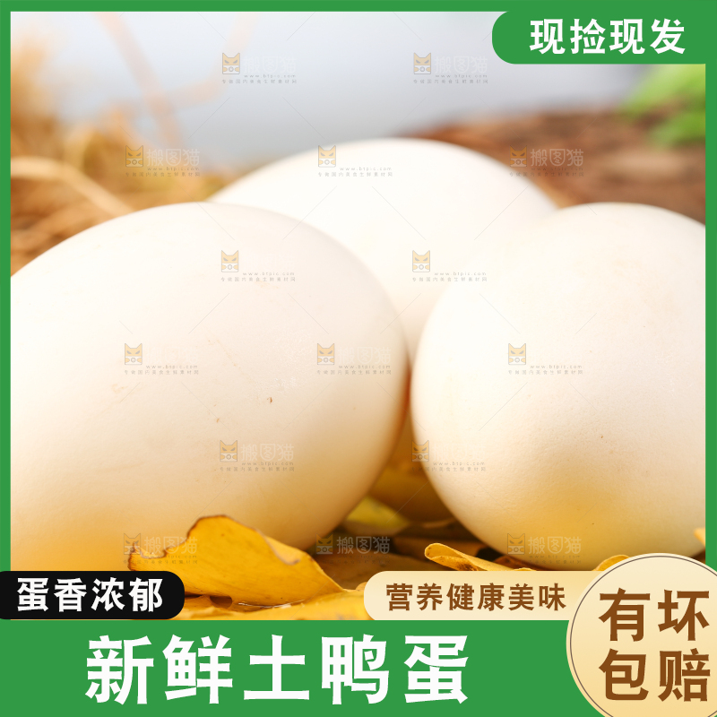 树叶上的鲜鸭蛋