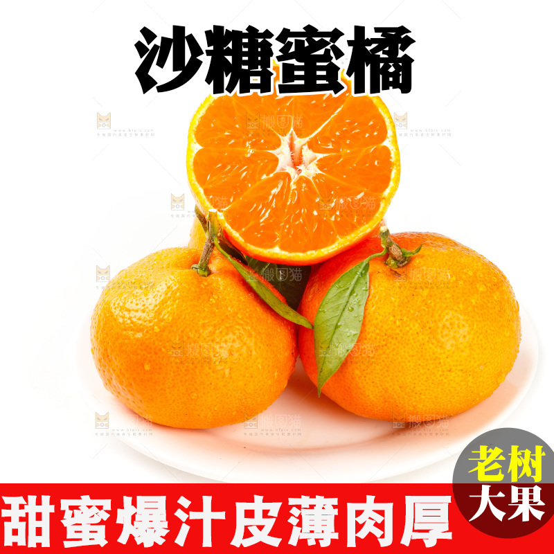 白底上摆放着蜜橘