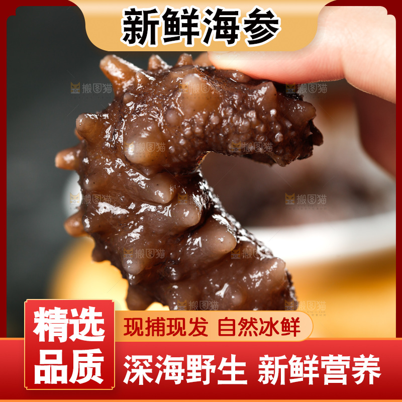 手拿海参