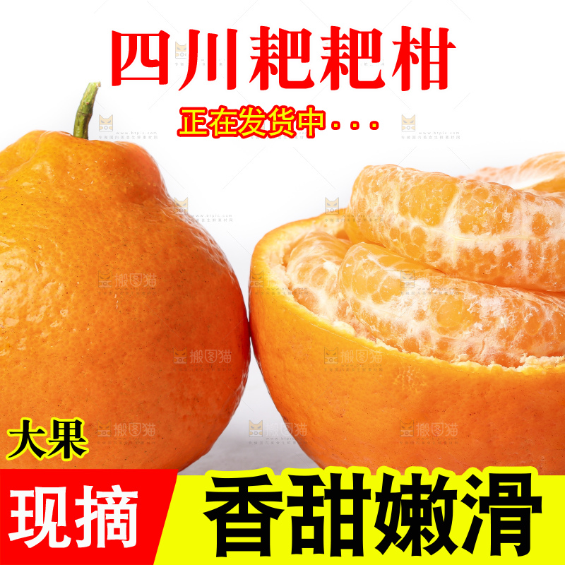白底上放着春见桔橙