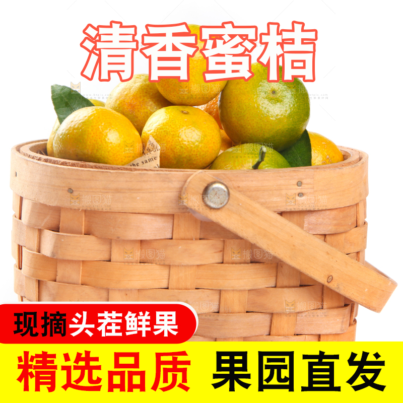一筐清香蜜橘放在白底上