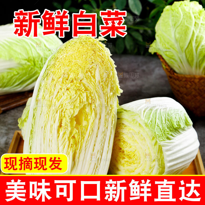 石板上放着一盘切开的山东大白菜