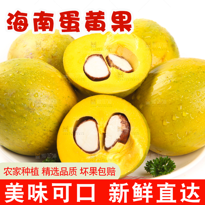 白底上的新鲜鸡蛋果
