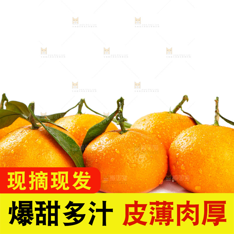白底上摆放着蜜橘