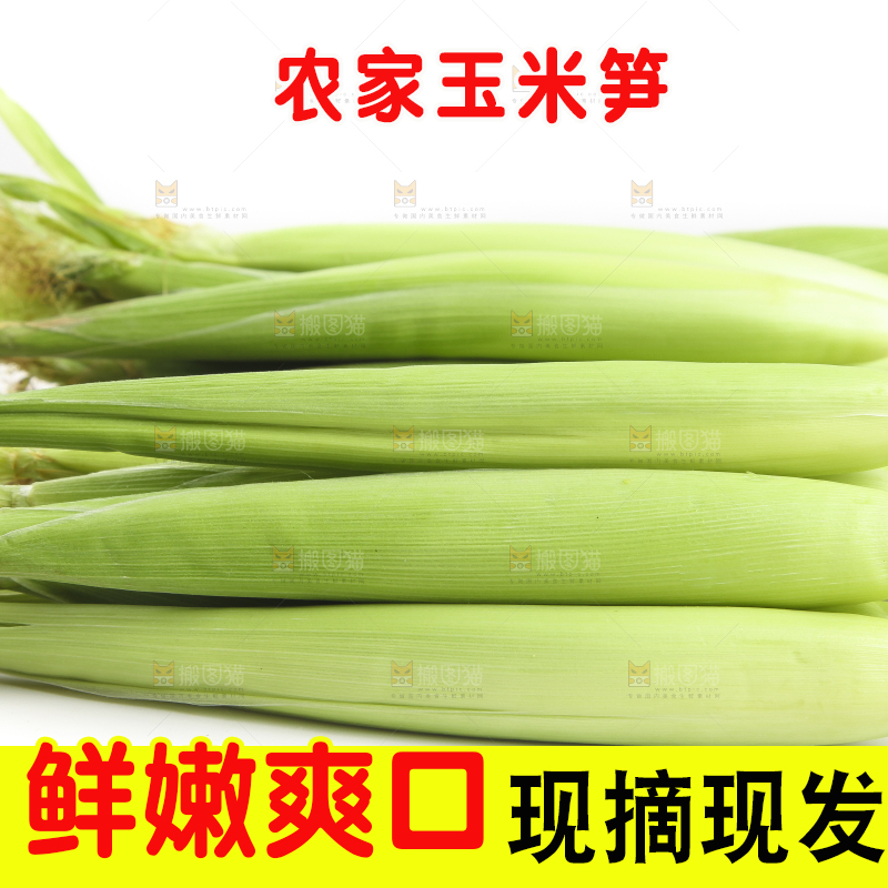 白底上的珍珠笋