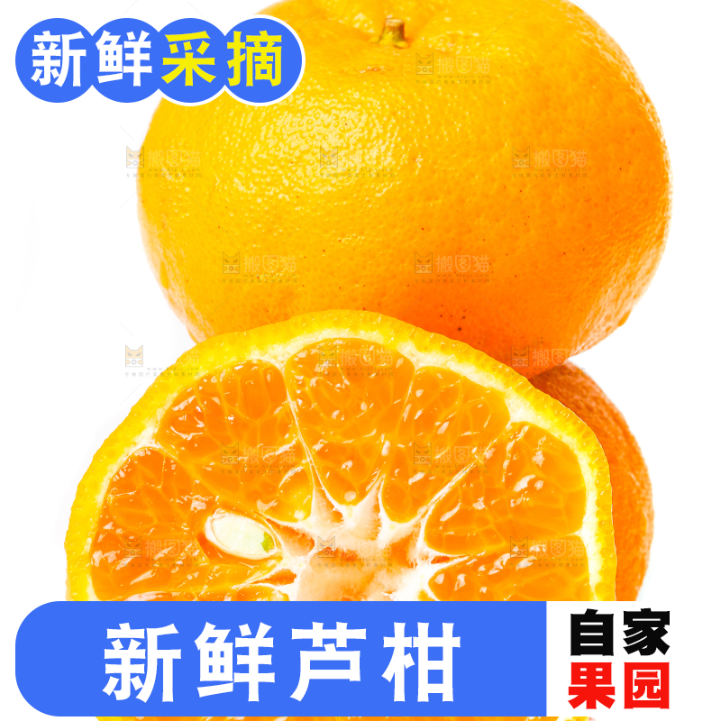 白底上放着芦柑