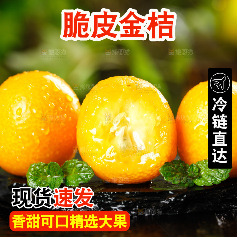 黑底上放着小金桔