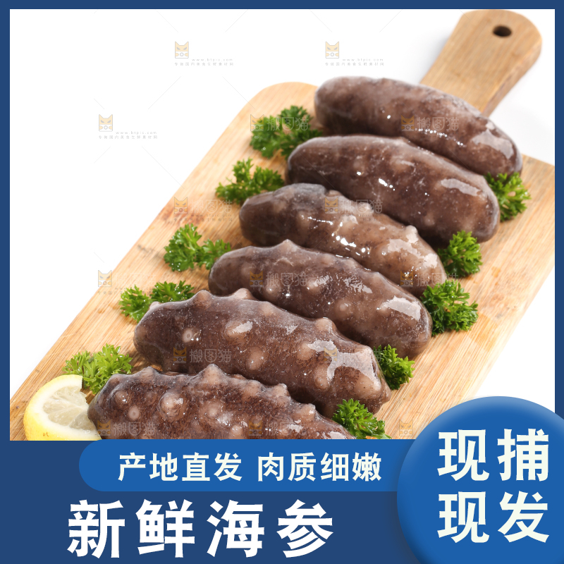 一盘刺参放在白底上