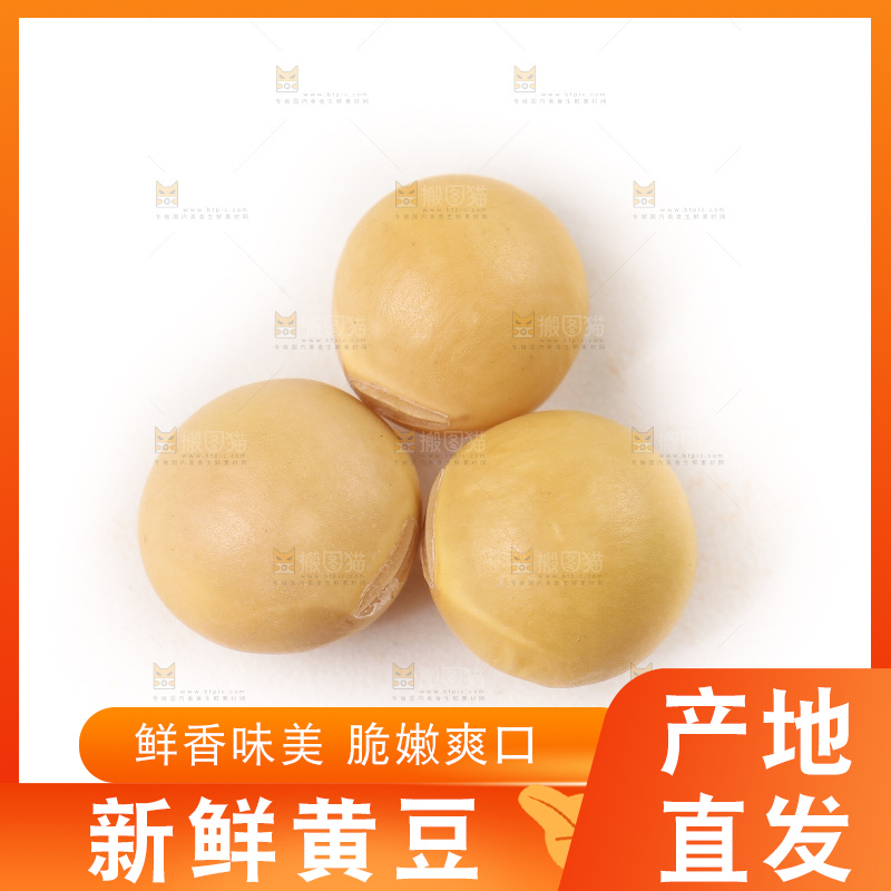 白底上的黄豆粒