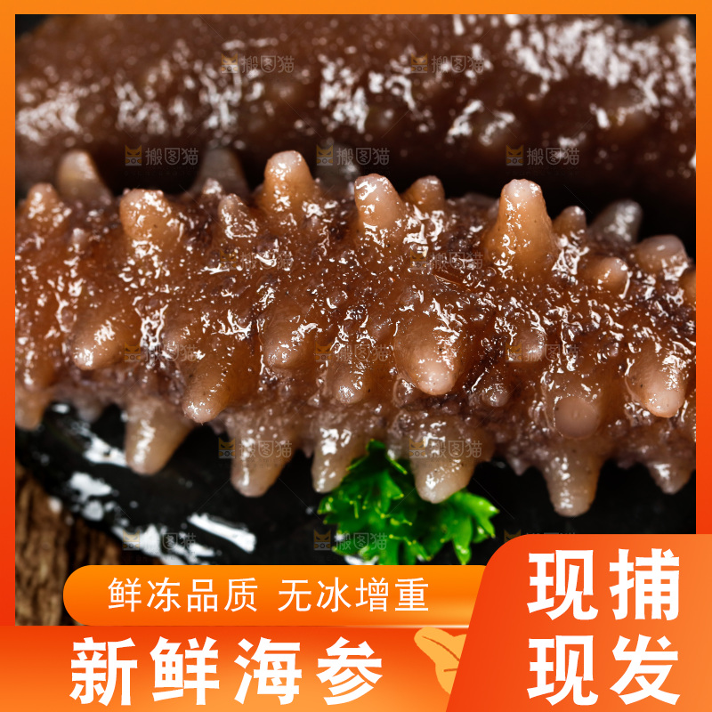 黑石板上的海参
