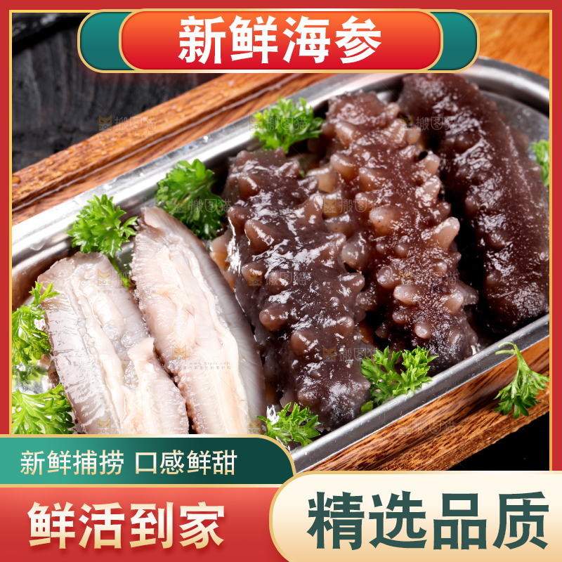 木底上的海参