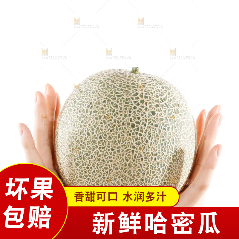 手里捧着哈蜜瓜
