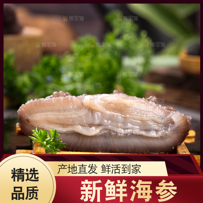 深底上的海参