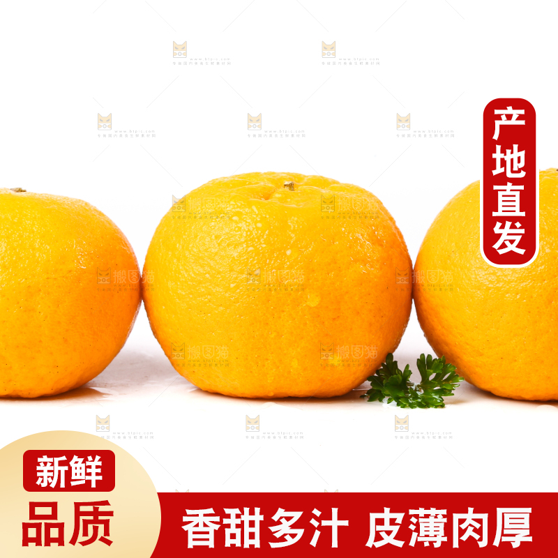 白底上放着芦柑