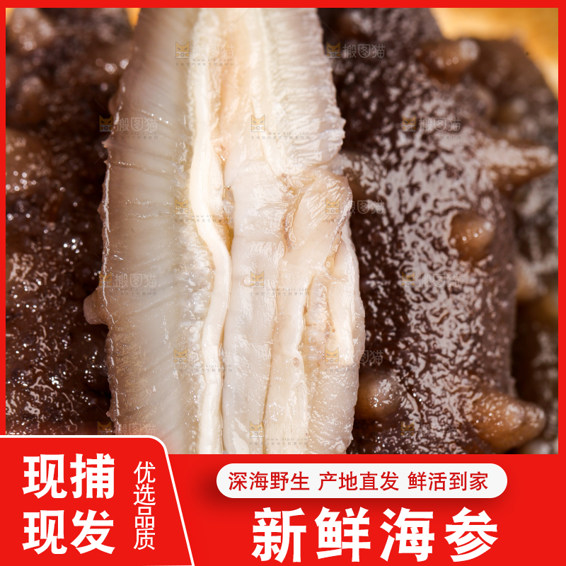 盘子里的海参