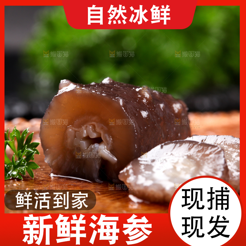 木底上的海参