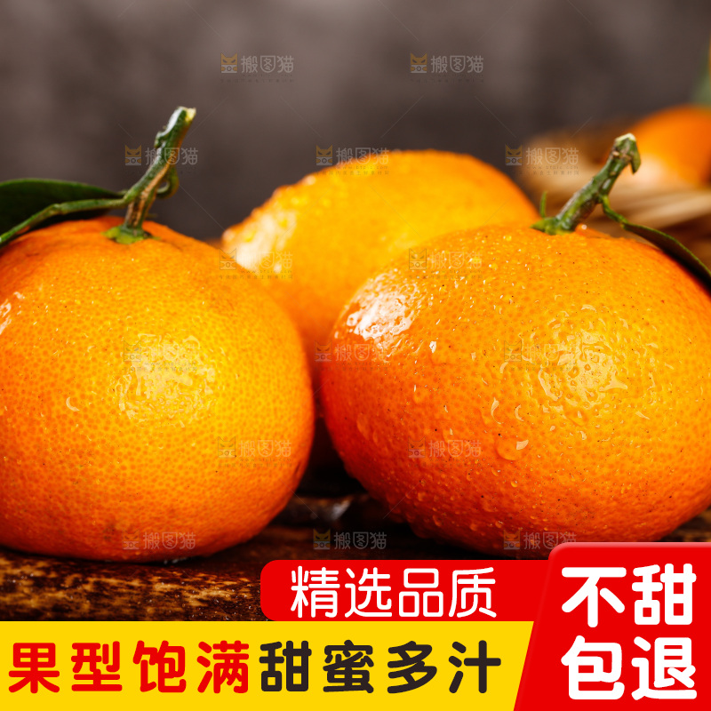 木底上摆放着蜜橘
