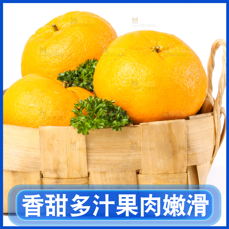 白底上放着芦柑