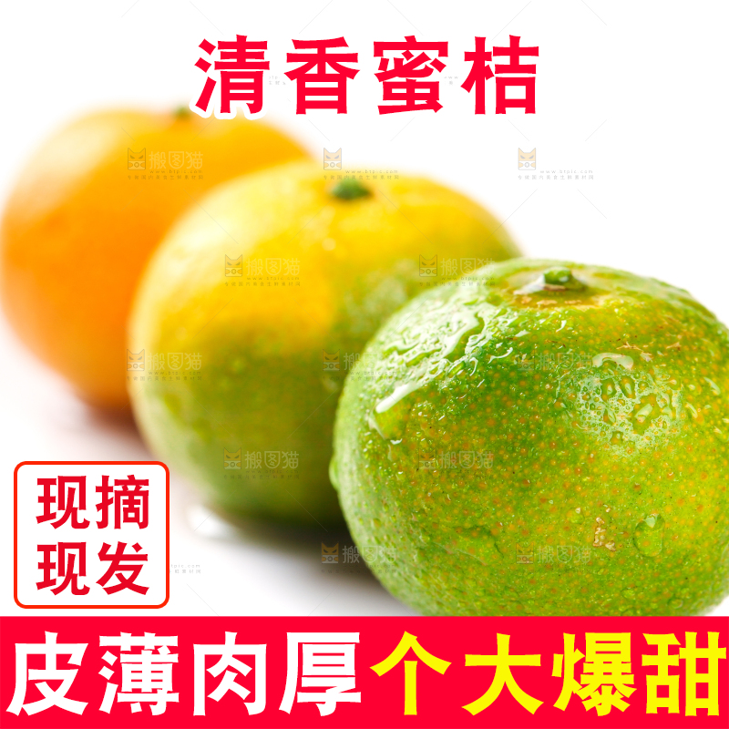 白底上的桂林清香蜜桔