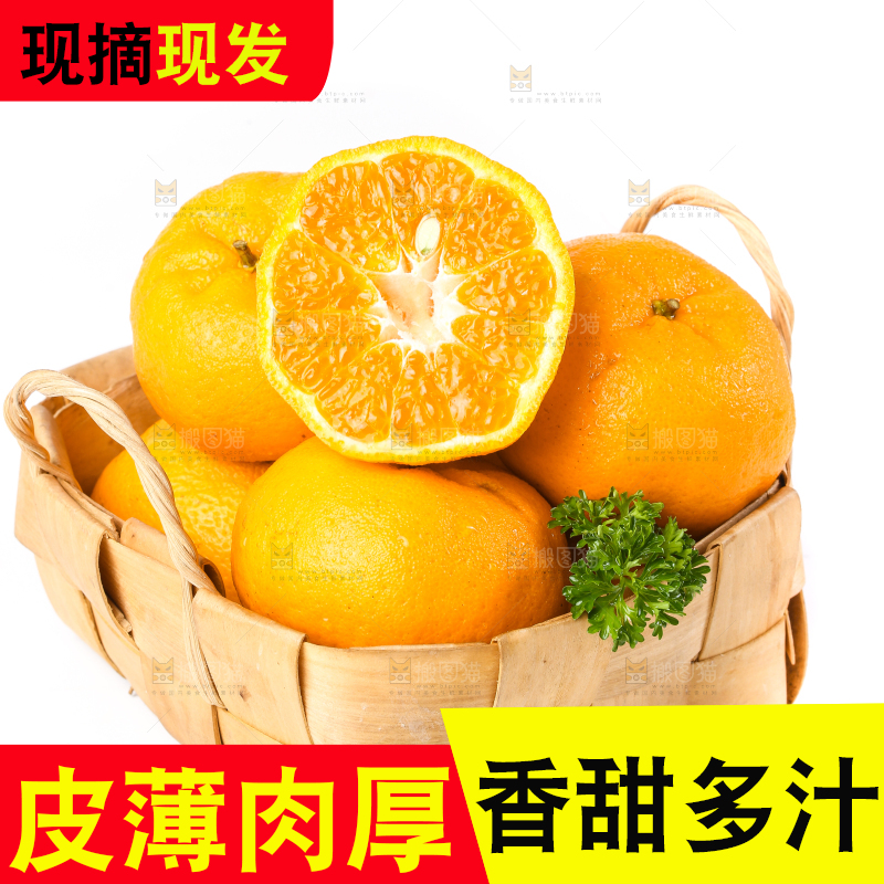 白底上放着芦柑