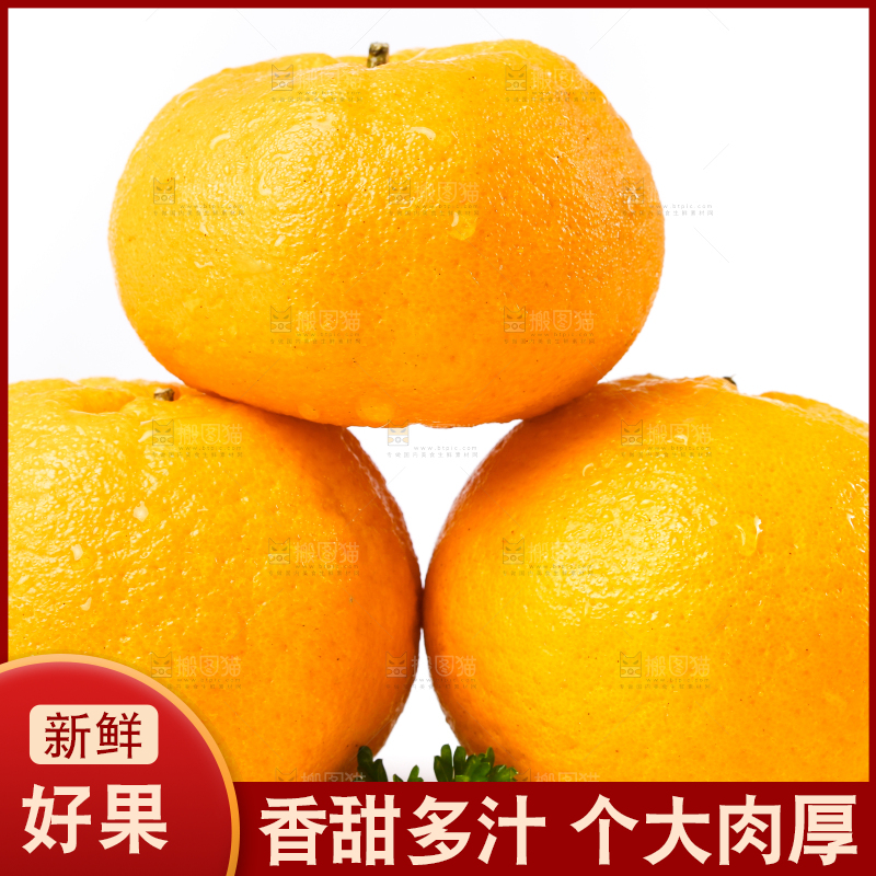 白底上放着芦柑