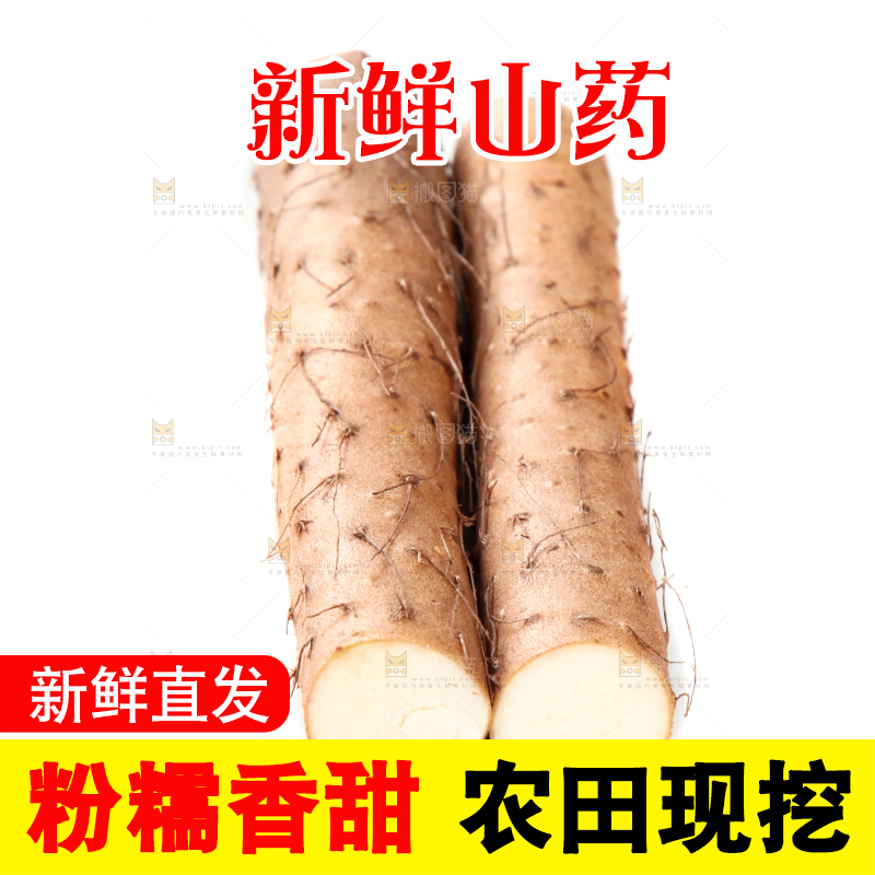 白底上摆放着山药