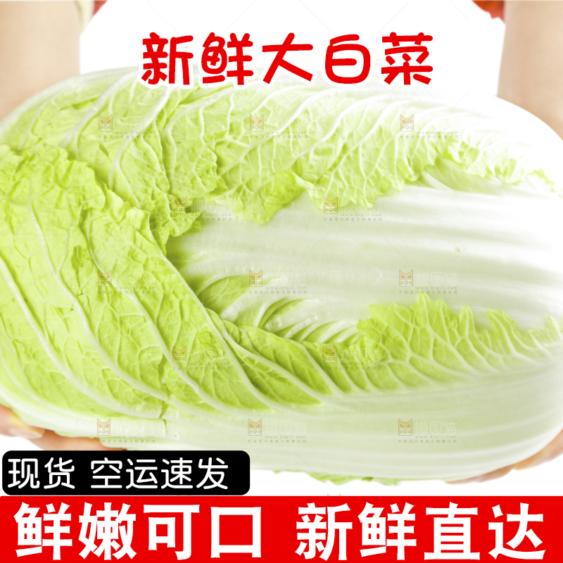 手拿大白菜