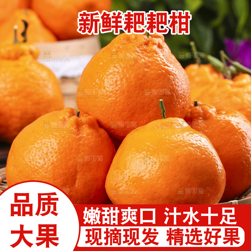 盘子里的四川春见耙耙柑