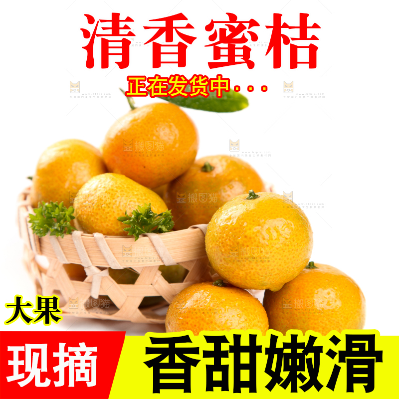 一筐小蜜桔放在白底上