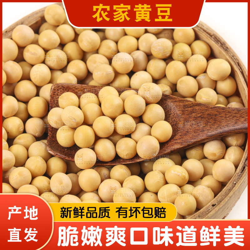 碗里装着农家黄豆