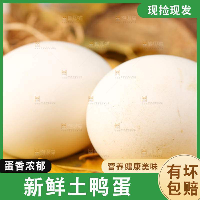 树叶上的鲜鸭蛋