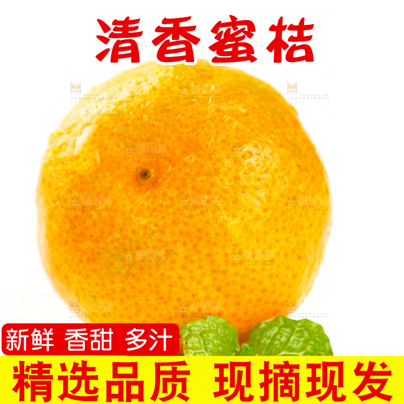 白底上的桂林清香蜜桔