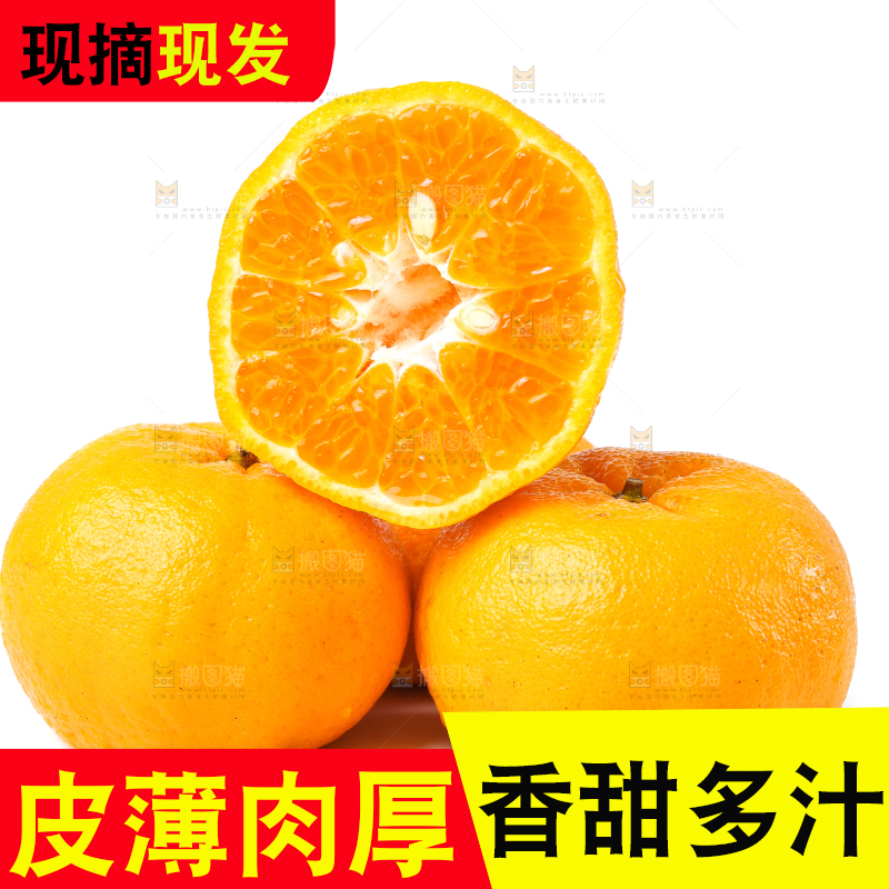 白底上放着芦柑