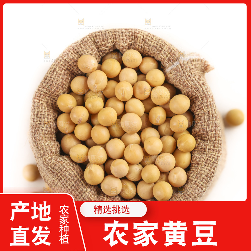 袋子里的黄豆粒