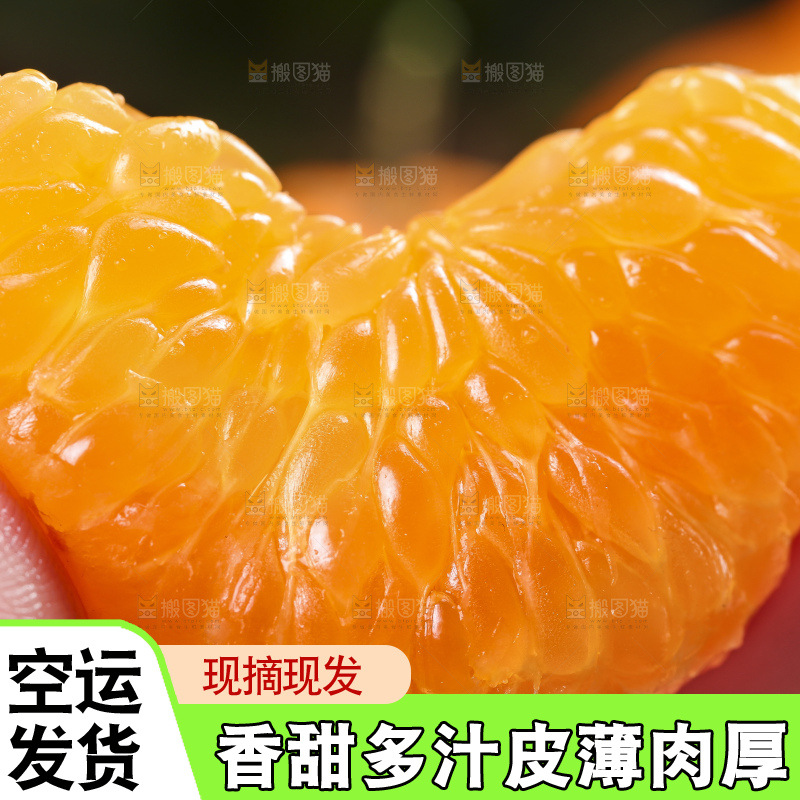 深底上放着四川春见