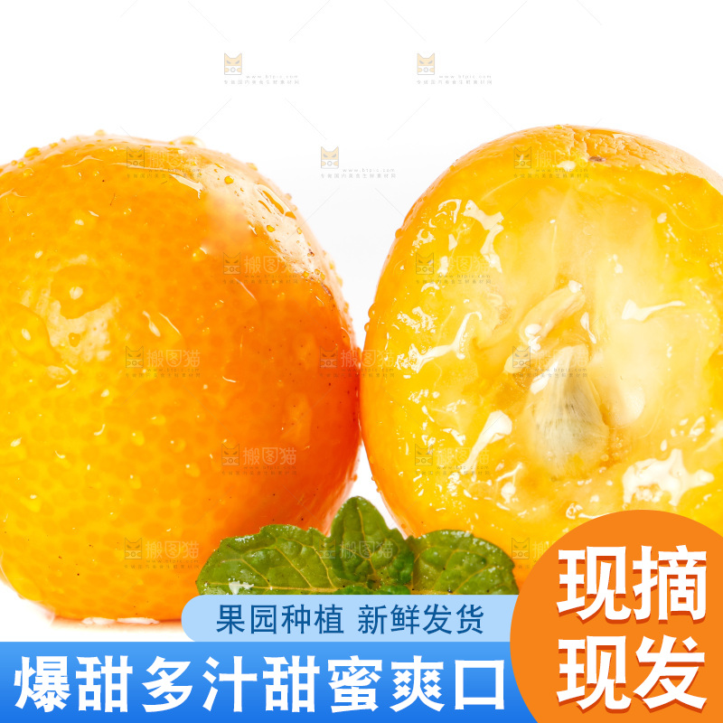 白底上放着小金桔