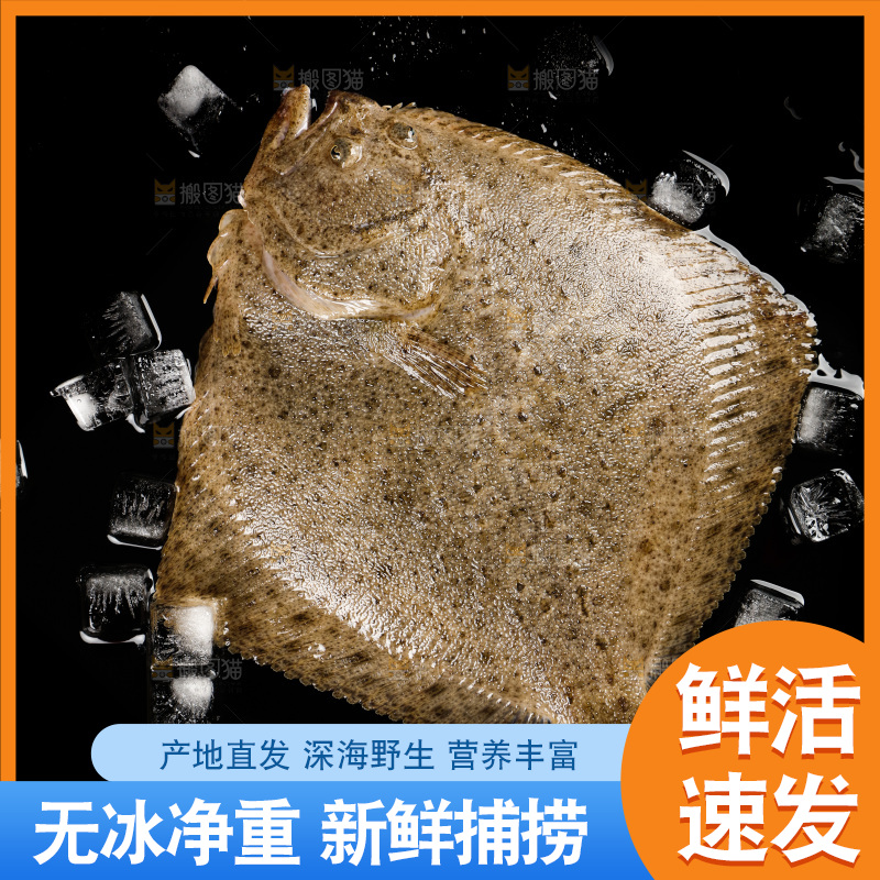黑底上摆放着比目鱼