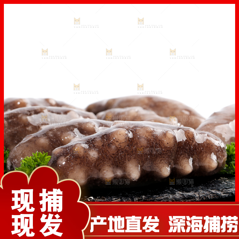 一盘刺参放在白底上