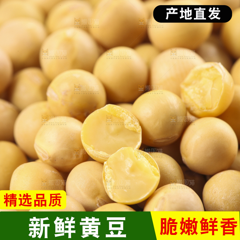 碗里装着农家黄豆