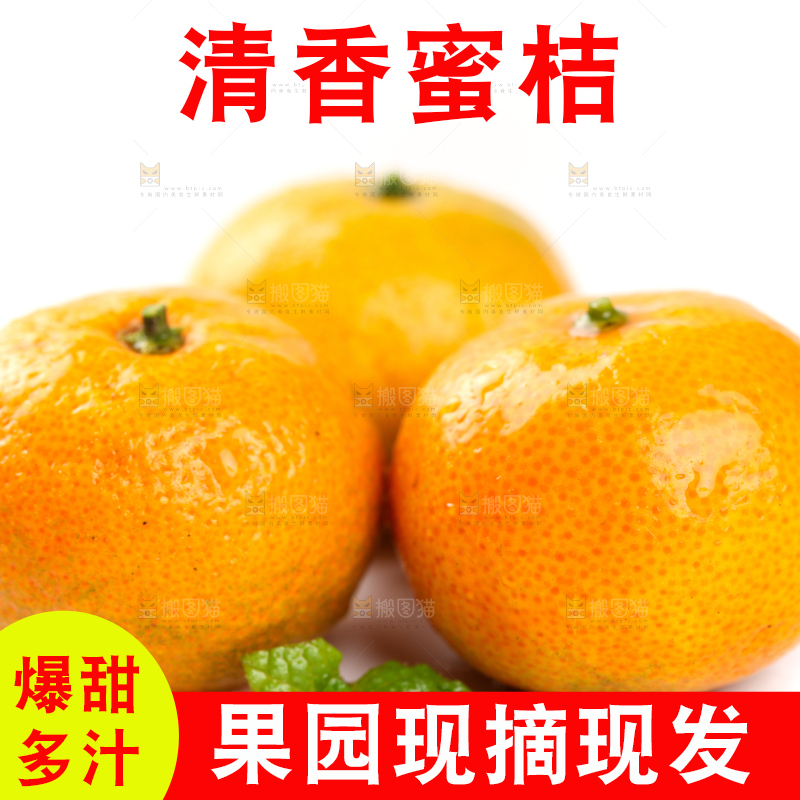 白底上的桂林清香蜜桔