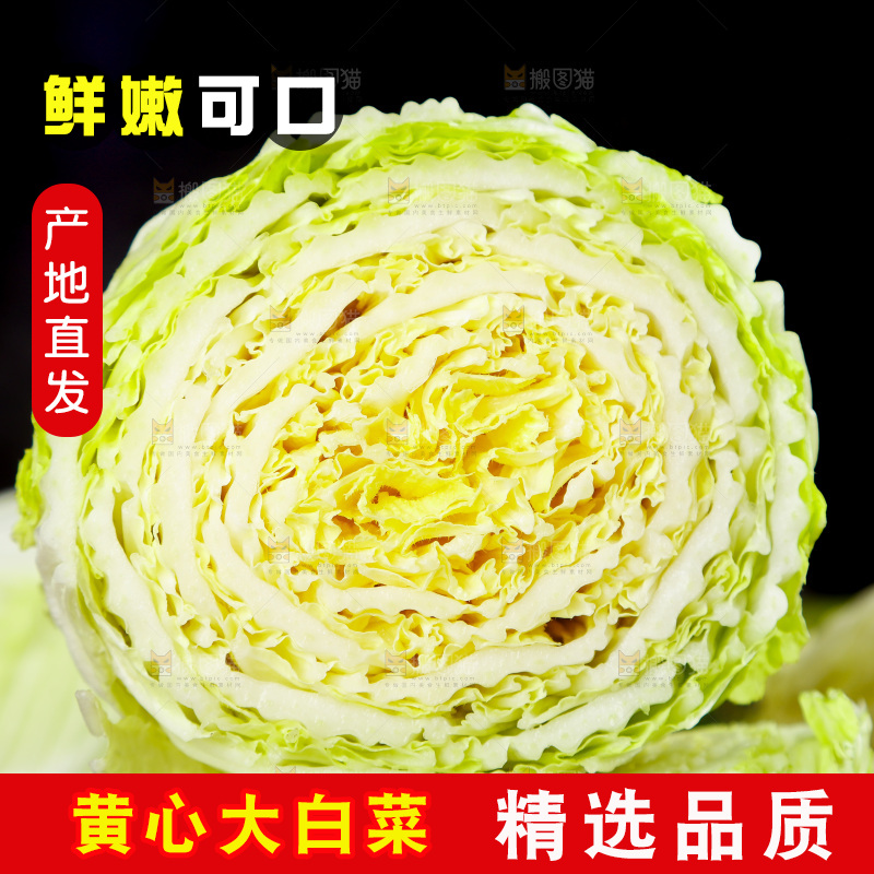 木底上放着切开的山东大白菜