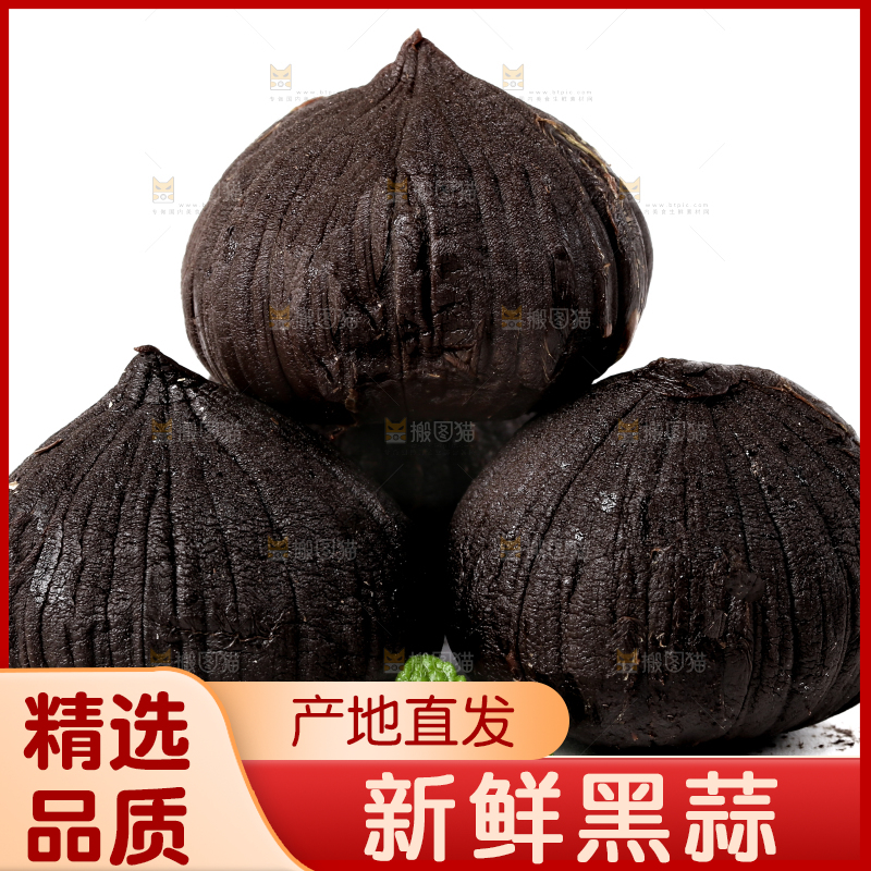 白底上的黑蒜头
