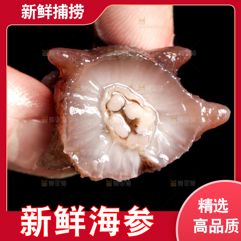 手拿切开的海参