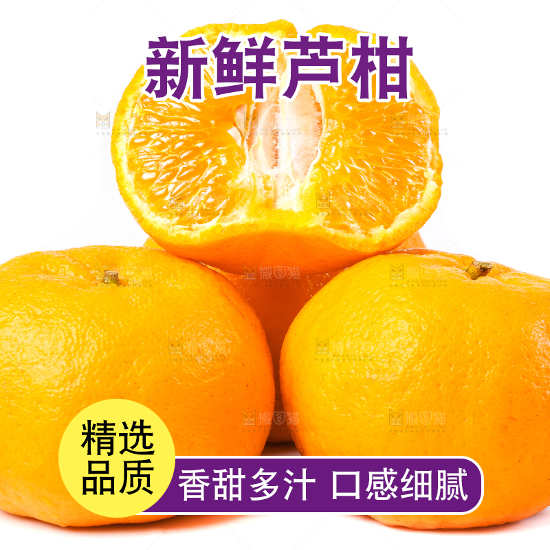 白底上放着芦柑