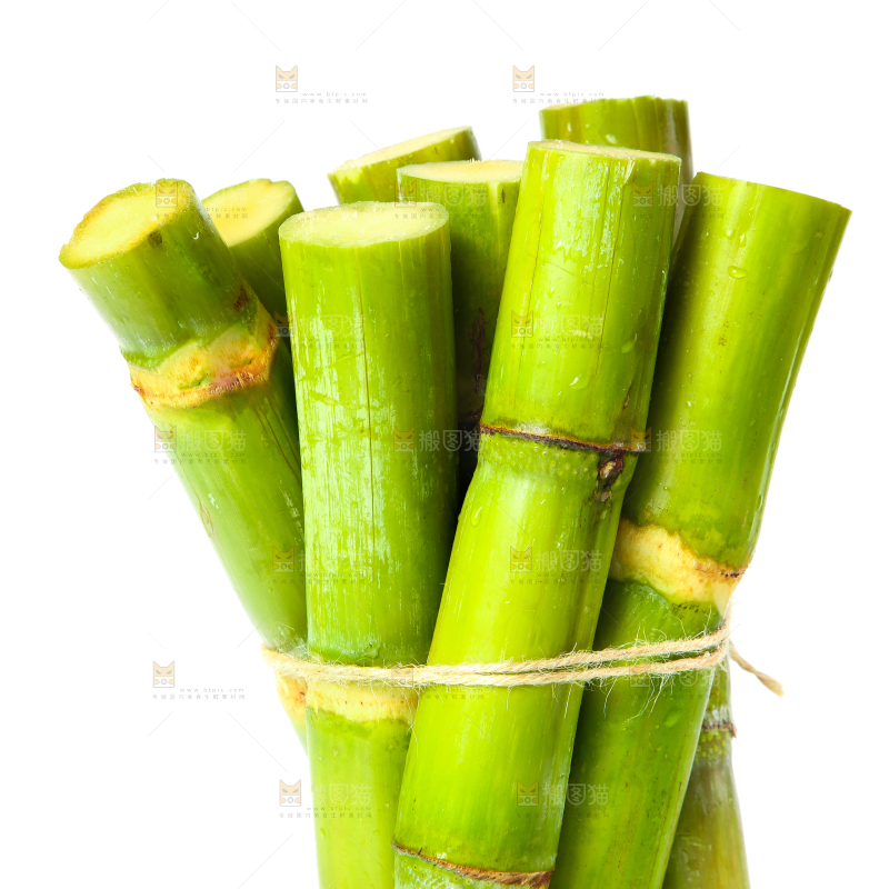 一捆青皮甘蔗放在白底