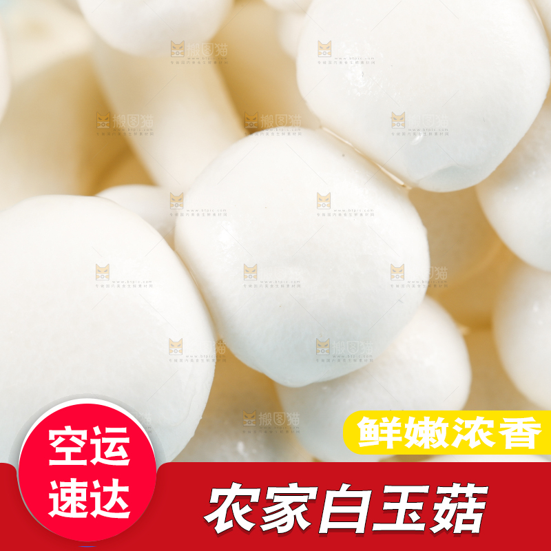 蓝底上的白玉菇
